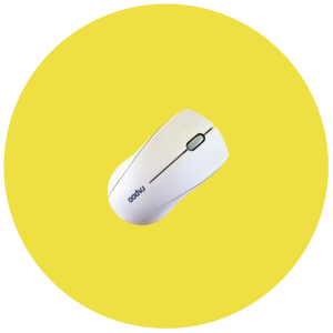 mouse